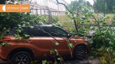 Гроза у Львові: повалені дерева та затоплені вулиці