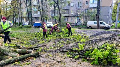 У Харкові комунальники пиляють повалені дерева