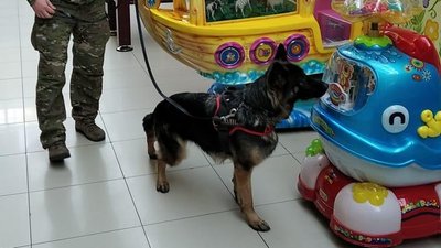 Школи, торговельні центри, суд: у Харкові через "мінування" евакуювали 4450 людей