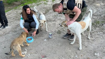 Протягом року повномасштабної війни "Домівка врятованих тварин" прийняла 6 тисяч тварин Протягом року повномасштабної війни "Домівка врятованих тварин" прийняла 6 тисяч тварин