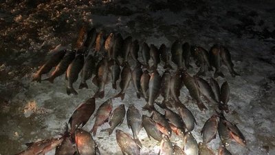 Ловили забороненими знаряддями: на Черкащині затримали рибалок з Київщини