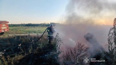 Горить торф на Чернігівщині: у двох районах триває гасіння пожеж