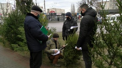 Перевірка точок продажу новорічних дерев Перевірка точок продажу новорічних дерев