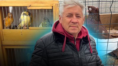 Виставка-ярмарок голубів та екзотичних птахів