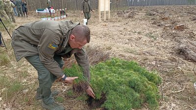 На Житомирщині прикордонники та школярі садили ліс На Житомирщині прикордонники та школярі садили ліс
