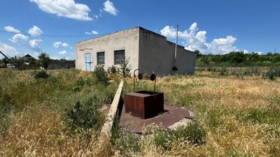 Чотирьох дітей на Миколаївщині підозрюють у жорстокому поводженні з котом