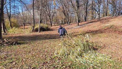 У Луцьку від чагарників та самосівів розчищають береги річки Жидувка