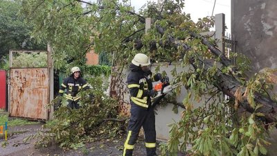 Північчю Донеччини та півднем Луганщини пронісся буревій Північчю Донеччини та півднем Луганщини пронісся буревій