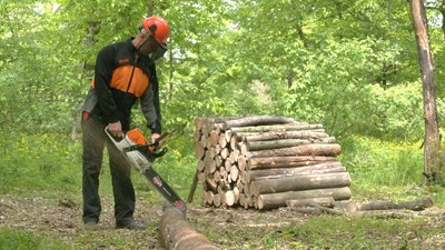 ЛІСІВНИКИ ЗАГОТОВЛЯЮТЬ ДРОВА ЛІСІВНИКИ ЗАГОТОВЛЯЮТЬ ДРОВА