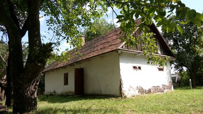 Оригінали Ніла Хасевича виявили в сільській хаті на Рівненщині: куди передадуть знахідки Оригінали Ніла Хасевича виявили в сільській хаті на Рівненщині: куди передадуть знахідки