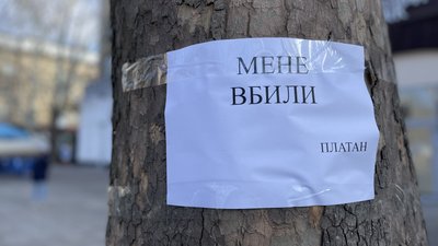 "Дерева — це легені міста". У Миколаєві відбулася акція-протест проти обрізання платанів "Дерева — це легені міста". У Миколаєві відбулася акція-протест проти обрізання платанів