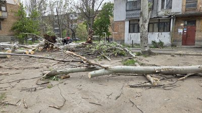Наслідки негоди в Миколаєві: повалені дерева, пошкоджені будинки, авто та тепломережа Наслідки негоди в Миколаєві: повалені дерева, пошкоджені будинки, авто та тепломережа
