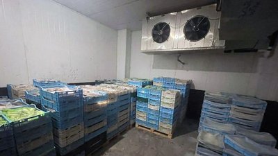 Масштабна схема вилову риби на Черкащині