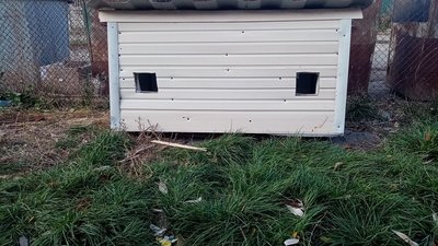 На вулицях Новомиргорода встановлюють будки для безпритульних котів На вулицях Новомиргорода встановлюють будки для безпритульних котів