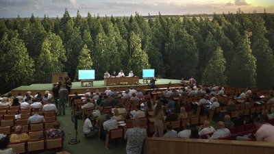 Облрада про землі КП «Чернігівоблагролісу»: що дістанеться громадам?