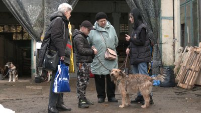Данило вперше веде на прогулянку пса Бороданя з Миколаївщини Данило вперше веде на прогулянку пса Бороданя з Миколаївщини