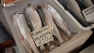 "Перша дунайка пішла": скільки коштує оселедець в Одесі