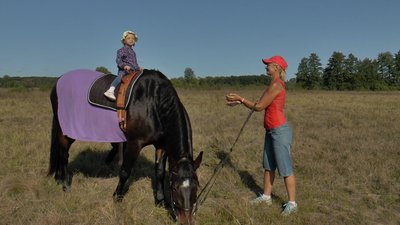 Іпотерапія влаштували на Полтавщині для дітей з інвалідністю Іпотерапія влаштували на Полтавщині для дітей з інвалідністю