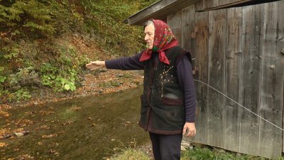 Марія Книшук Марія Книшук
