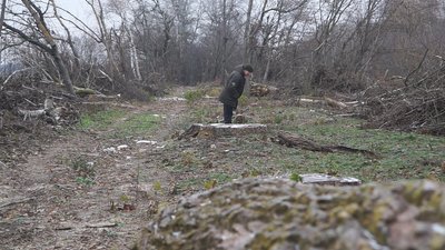У лісгоспі на Вінниччині виявили незаконні вирубки дерев на 12 мільйонів гривень У лісгоспі на Вінниччині виявили незаконні вирубки дерев на 12 мільйонів гривень