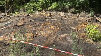 Що показала експертиза звалища тваринних решток у Зіньківській громаді