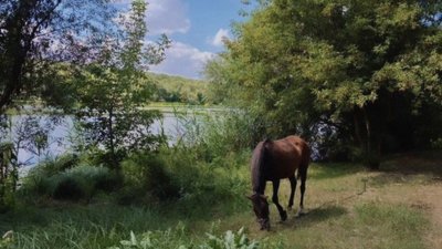 Мінлива хмарність. Прогноз погоди для Кіровоградщини на тиждень