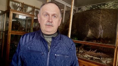 В центральному парку Житомира гуляє дикий кабан – тварину ловитимуть у клітку-пастку