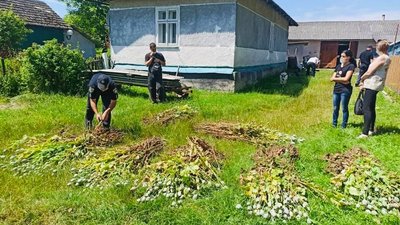 44 кримінальні провадження і 3900 перевірок: на Прикарпатті триває операція "Мак" 44 кримінальні провадження і 3900 перевірок: на Прикарпатті триває операція "Мак"