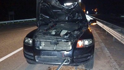 Вінничанин наїхав на пішохода на Житомирщині: жінка загинула