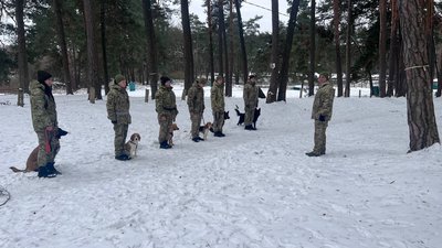 На Львівщині майбутні собаки-прикордонники склали іспити На Львівщині майбутні собаки-прикордонники склали іспити