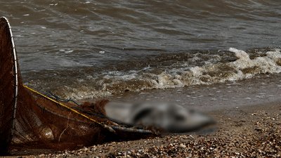 Загиблий китоподібний на узбережжі НПП «Тузлівські лимани»