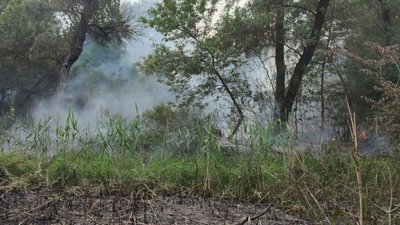 Пожежа в екосистемах Запорізької області