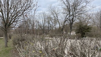 Якою буде погода на Херсонщині 31 січня