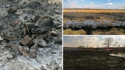 З початку року на Кіровоградщині вигоріло 50 га сухостою. Які наслідки та відповідальність З початку року на Кіровоградщині вигоріло 50 га сухостою. Які наслідки та відповідальність