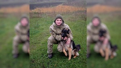 На Одещині лисиця напала на прикордонника та службову собаку На Одещині лисиця напала на прикордонника та службову собаку