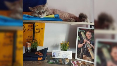 "Після перемоги, поїду на місце загибелі сина" – мама військовослужбовця Третьої штурмової бригади "Після перемоги, поїду на місце загибелі сина" – мама військовослужбовця Третьої штурмової бригади
