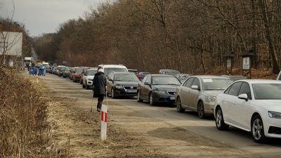 На українсько-словацькому кордоні у машині переселенців народилися троє щенят На українсько-словацькому кордоні у машині переселенців народилися троє щенят