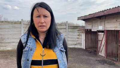 У Прилуках 37 собак, які проживають у притулку, можуть залишитися без догляду: в чому причина та чи є вихід з ситуації У Прилуках 37 собак, які проживають у притулку, можуть залишитися без догляду: в чому причина та чи є вихід з ситуації