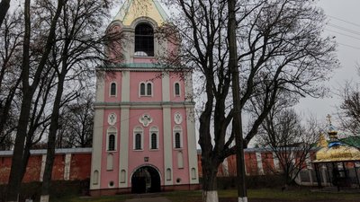 Як Шевченко зобразив Чернігівщину
