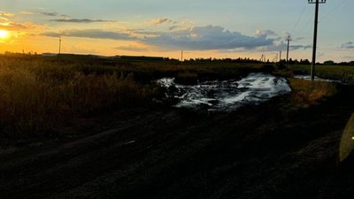 забруднена земля
