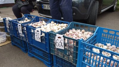 Понад 150 виробників: у Рівному стартував перший в цьому році сільськогосподарський ярмарок