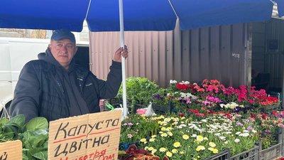 Не купують розсаду