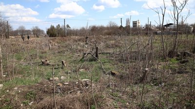 В Одесі планують перепоховання жертв політичних репресій 1937-38 років