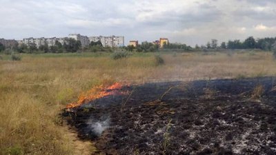 На Дніпропетровщині в природних екосистемах виникло 15 пожеж на загальній площі 10 га На Дніпропетровщині в природних екосистемах виникло 15 пожеж на загальній площі 10 га
