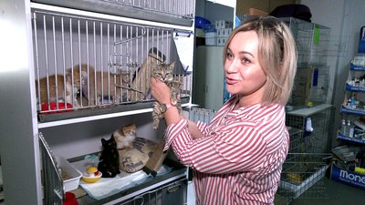 Евакуйовані тварини Евакуйовані тварини