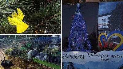 У Кропивницькому відкрили новорічно-різдвяне містечко У Кропивницькому відкрили новорічно-різдвяне містечко