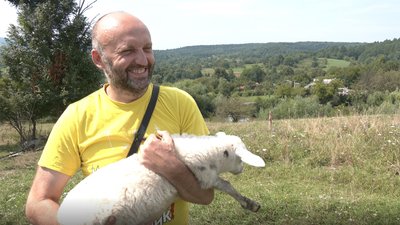 Перша дівчина-вівчар. Як 26-річна прикарпатка доглядає овець на Івано-Франківщині Перша дівчина-вівчар. Як 26-річна прикарпатка доглядає овець на Івано-Франківщині