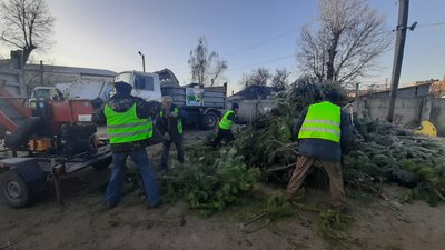 У Харкові збирають і дроблять новорічні ялинки для обігріву підприємств та утеплення рослин У Харкові збирають і дроблять новорічні ялинки для обігріву підприємств та утеплення рослин