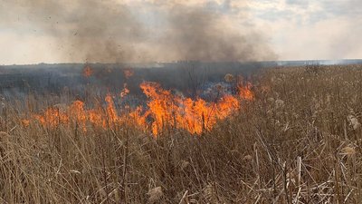 32 пожежі сухої трави за добу загасили на Львівщині 32 пожежі сухої трави за добу загасили на Львівщині