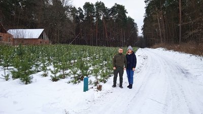 На Сумщині розпочали продаж новорічних дерев На Сумщині розпочали продаж новорічних дерев
